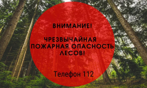 По информации ФГБУ «Северное УГМС»: Установление 5 класса чрезвычайной пожароопасности в лесах (более 3000 по формуле Нестерова - региональный класс пожароопасности лесов) ожидается местами по Архангельской области с 2 июня 2024 года..