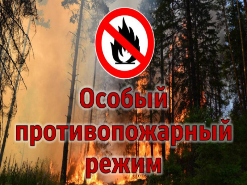 ГКУ АО «Красноборское лесничество» со ссылкой на телеграм-канал информирует население о введении особого противопожарного режима в лесах Архангельской области..
