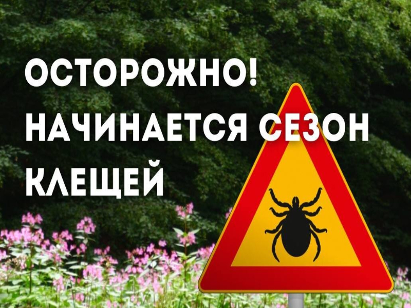 Управление Роспотребнадзора по Архангельской области информирует о предстоящем сезоне активности клещей..